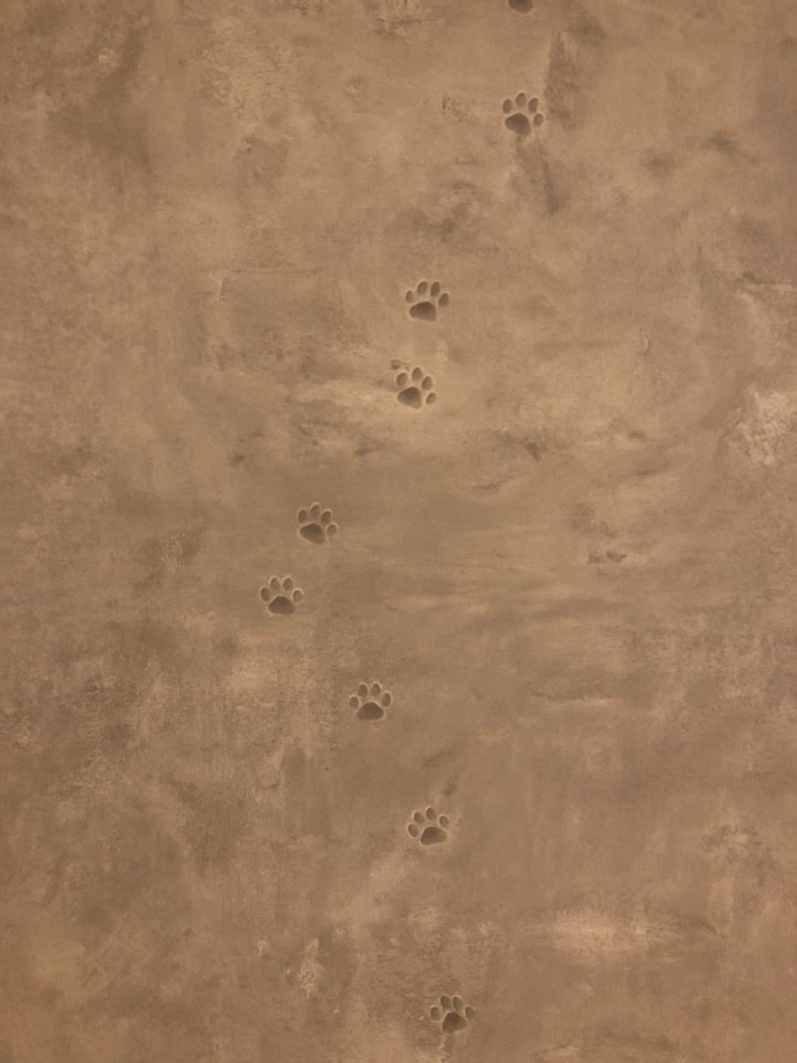 近江建設実例集　猫の足跡付きの壁紙